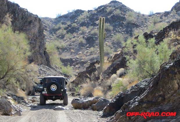 Arizona wheeling! You wont see saguaro cacti anywhere else except Arizona. Wandering the canyons and arroyos east of Parker youll see many of them.